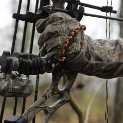 a pic of archery gloves